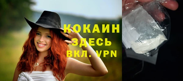 метадон Богданович