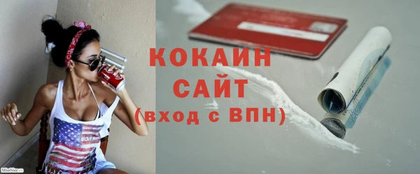 метадон Богданович