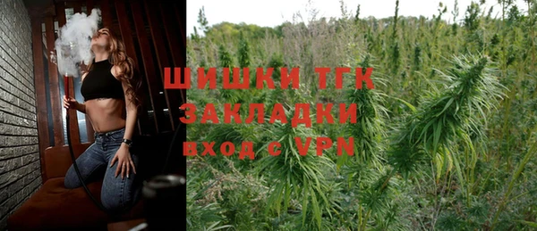 2c-b Бородино
