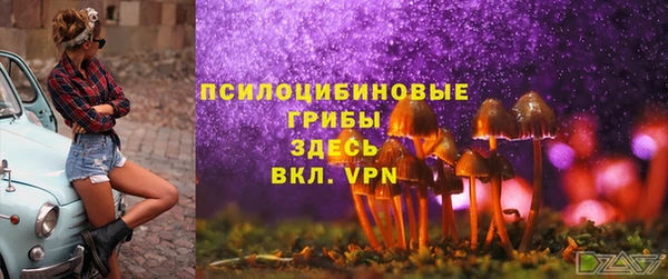 метадон Богданович