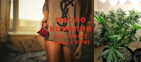 метадон Богданович