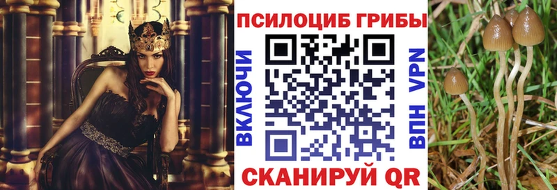 Галлюциногенные грибы ЛСД Армавир