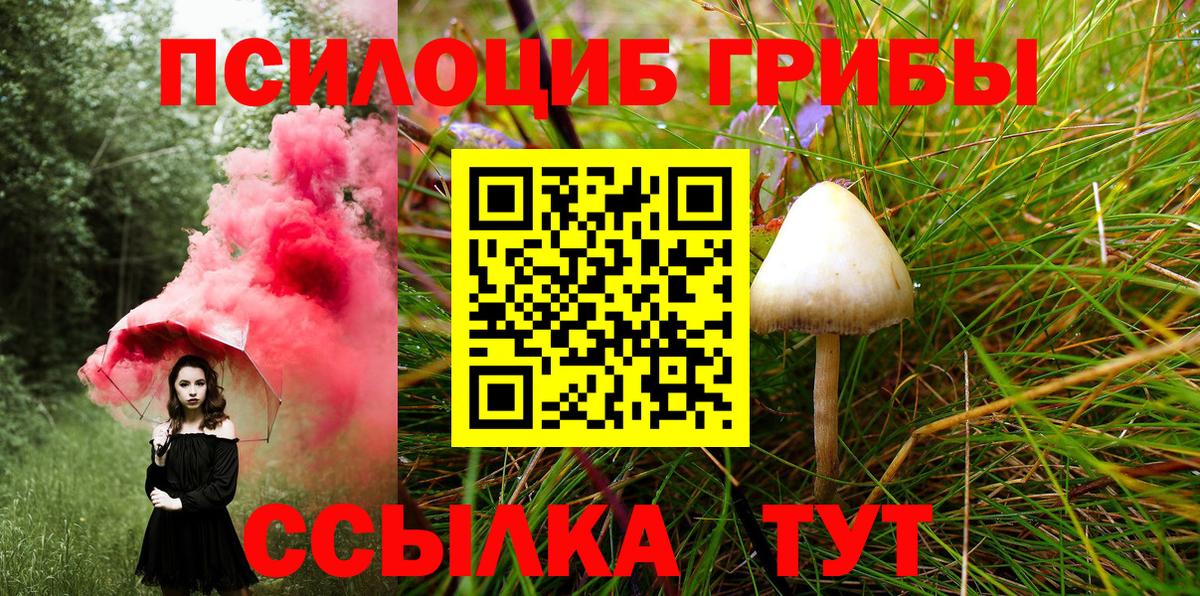 Галлюциногенные грибы GOLDEN TEACHER  Вход с VPN  Армавир  Псилоцибиновые грибы Psilocybine cubensis 